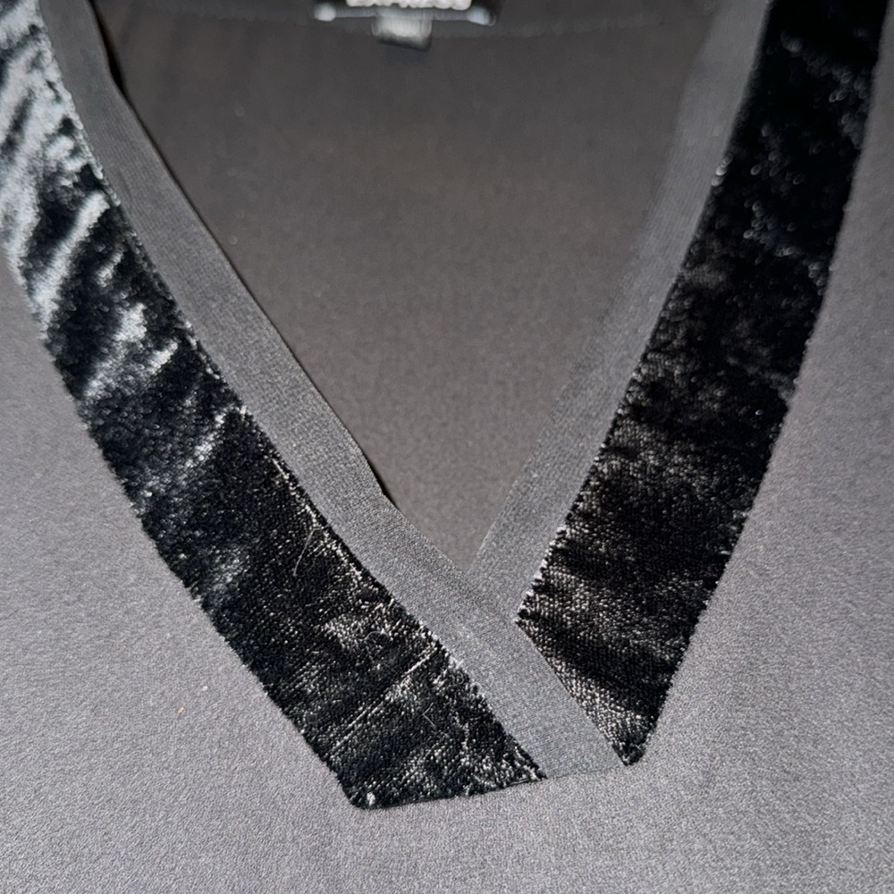 Velour Trim Sheer Long Sleeve Blouse - Picture 6 of 11
